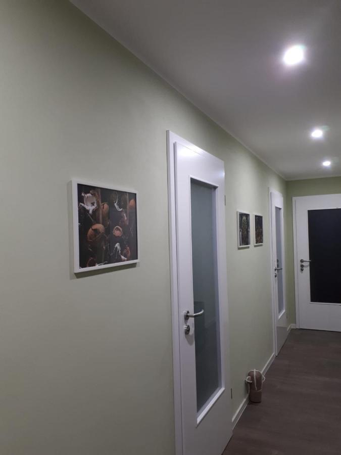 Ferienwohnung Rotbuche Tannenberg Exterior foto